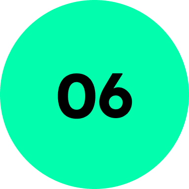 number 06